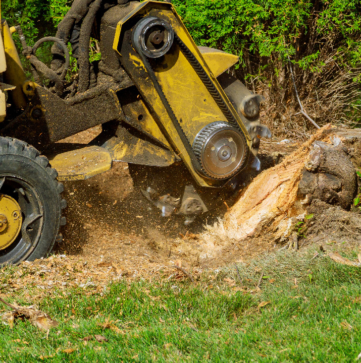 stump grinding